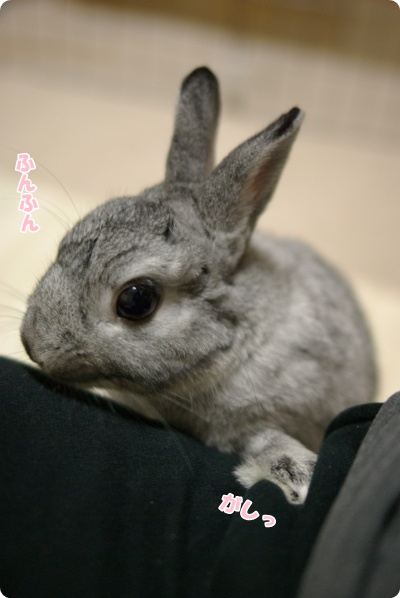 わかった