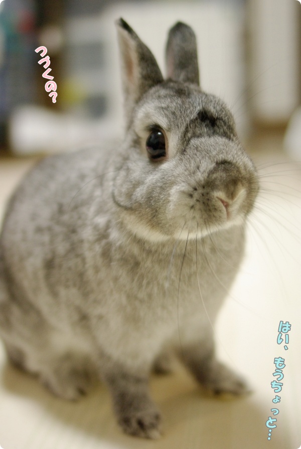 きょとん