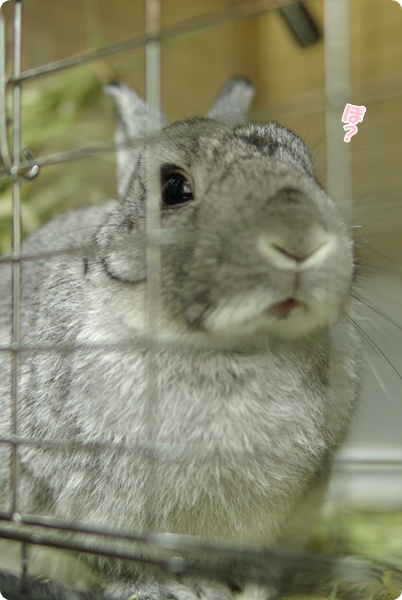 ねむねむ