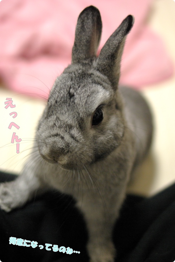 いばってみる