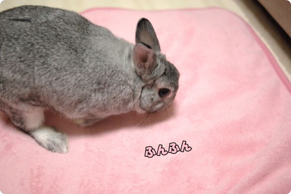じならしじならし