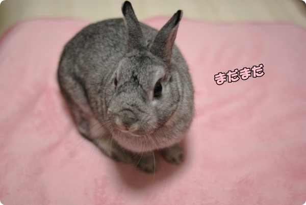 がんばるよ