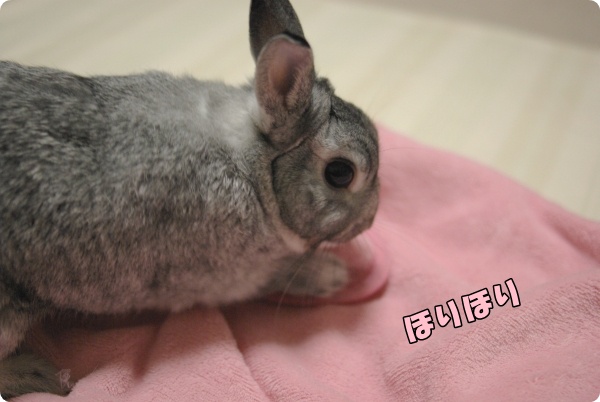 わちゃ〜