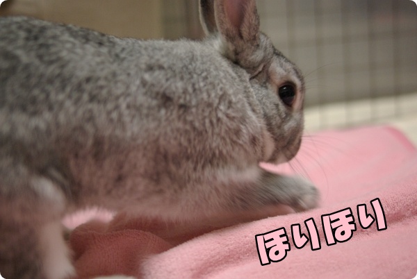 おうりゃ〜っ