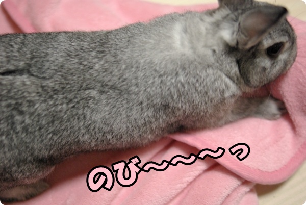 びよよ〜ん