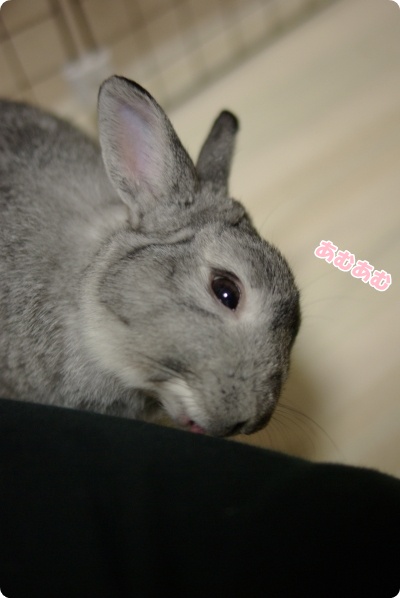 ふくのうえから