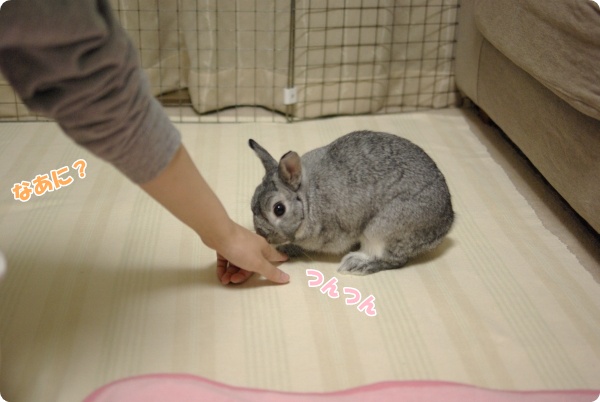 ちょっとちょっと