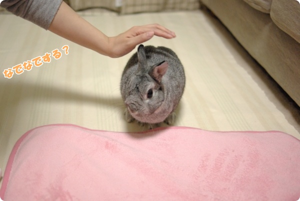 しめしめ