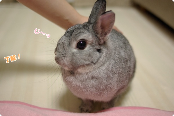 よろしく