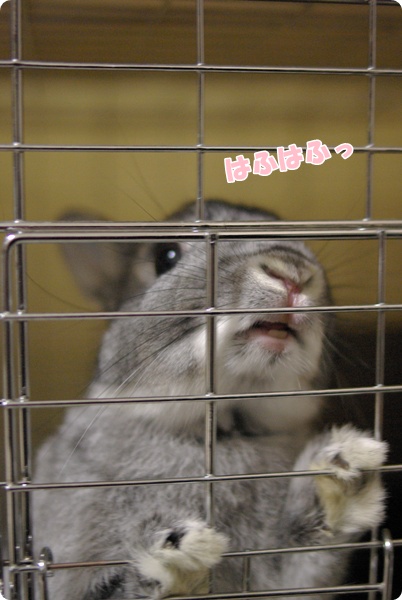 ぽか〜ん