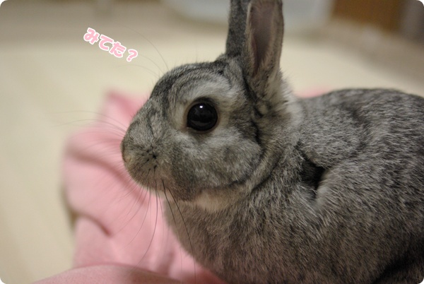 きら〜ん