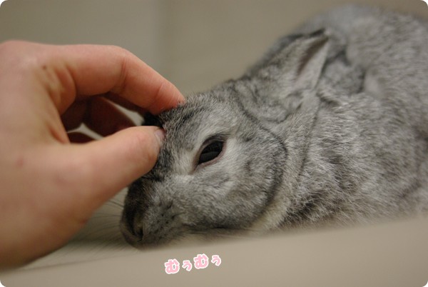 もみもみ