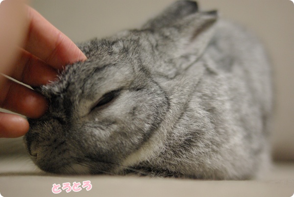 ぐりぐり