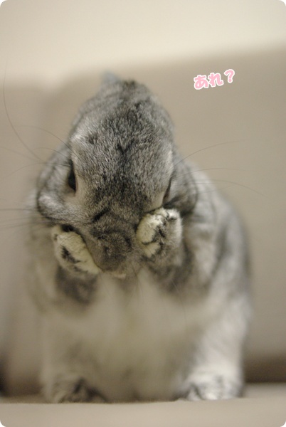 もにょもにょ