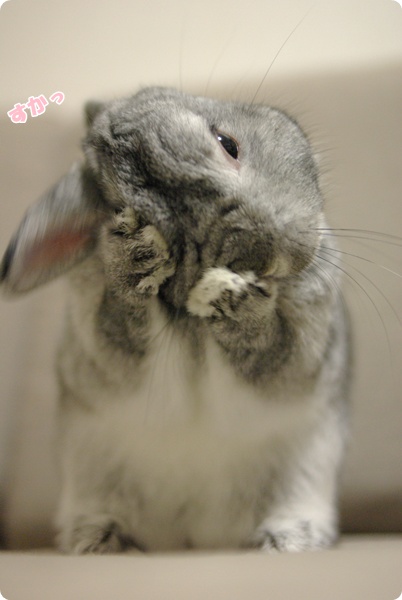 えいっ
