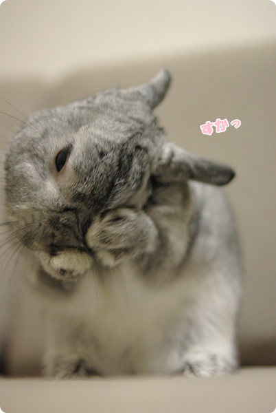 やあっ
