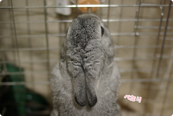 後頭部?