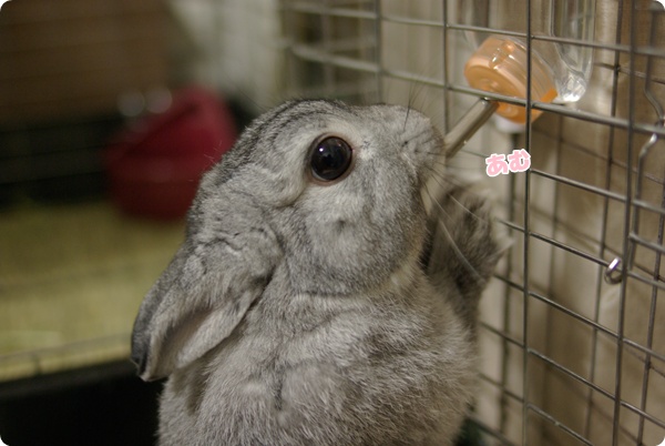 むにゅ