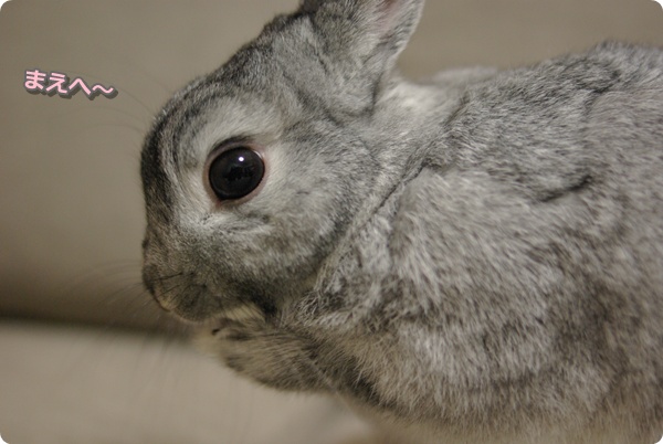ぺろぺろ