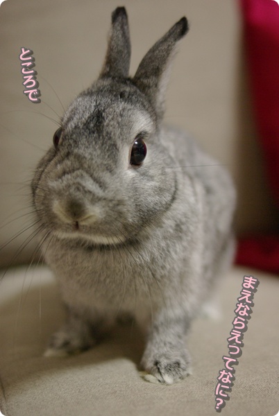 きょとん