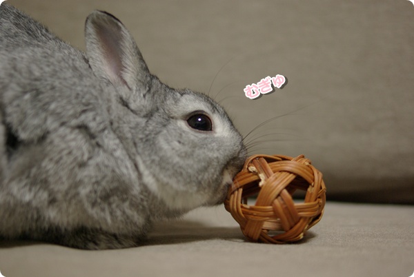 おはなをぐいっ