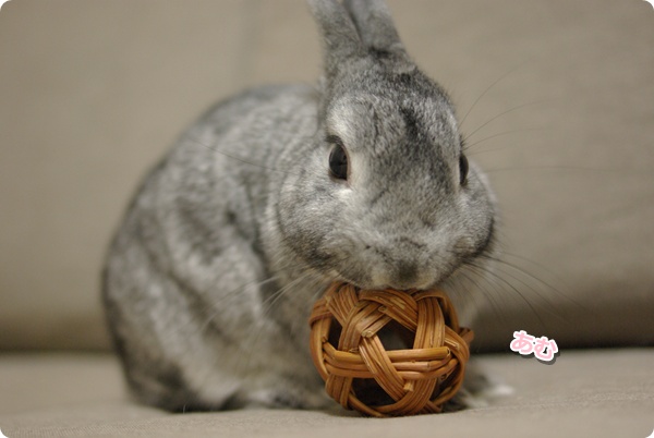 たのしくつぶしたね♪