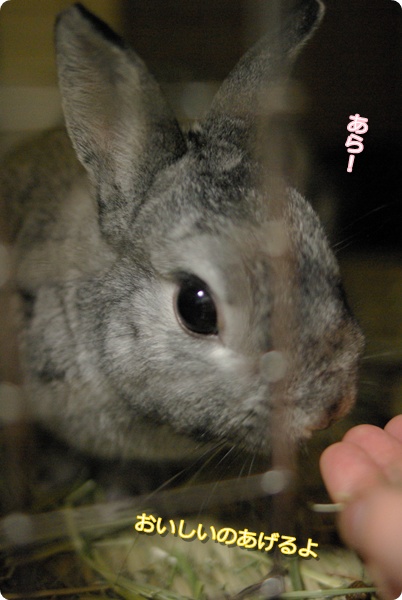 おいしいぼくそう!
