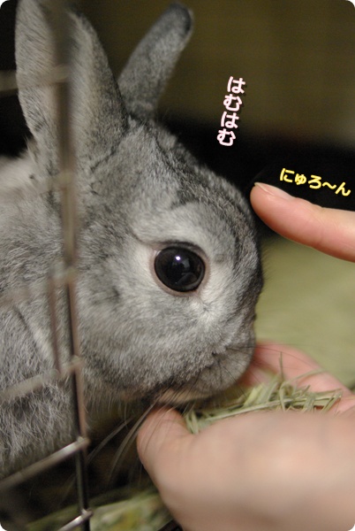 しのびよるゆび…