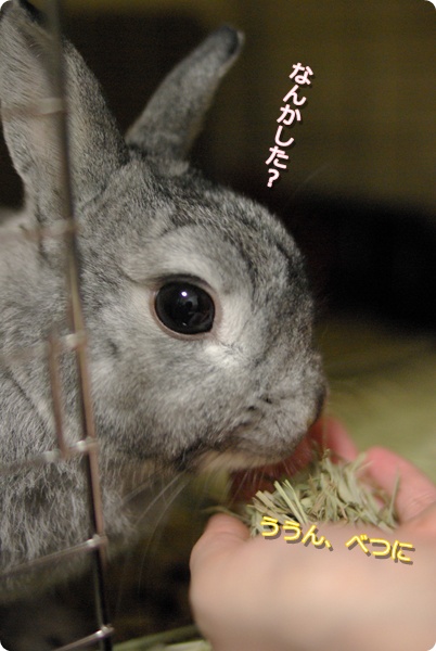 でこが…