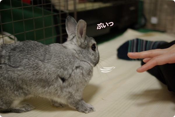いやん