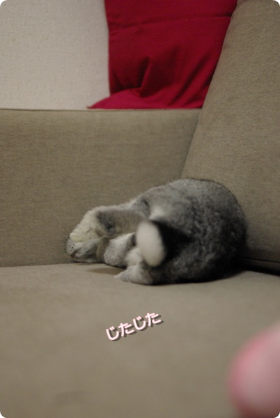 くにゃくにゃ