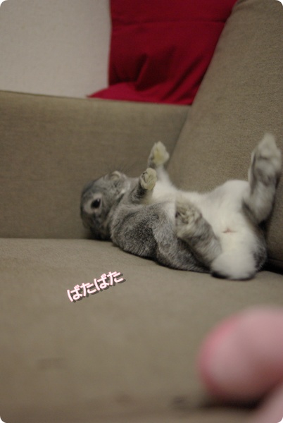 うにゃうにゃ