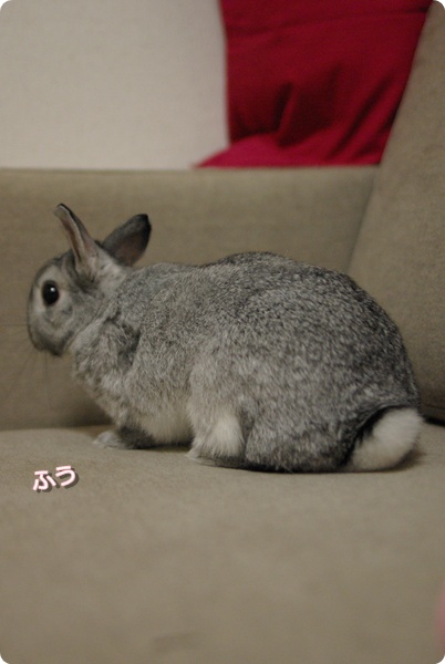 ん?