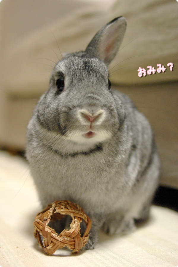あう…