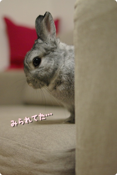 むぐう…