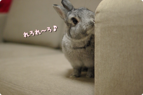 マナ印マナ印♪