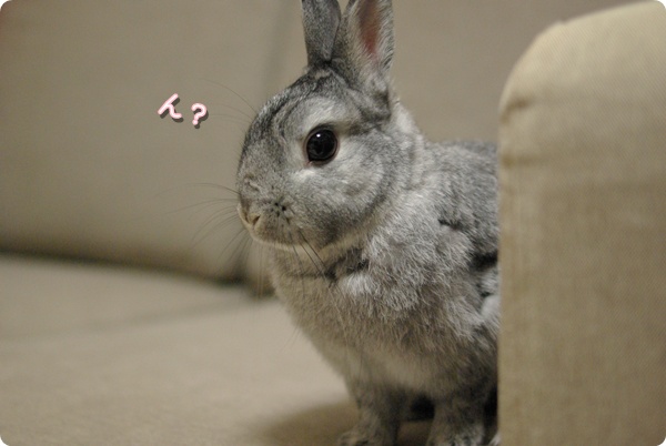 視線がっ