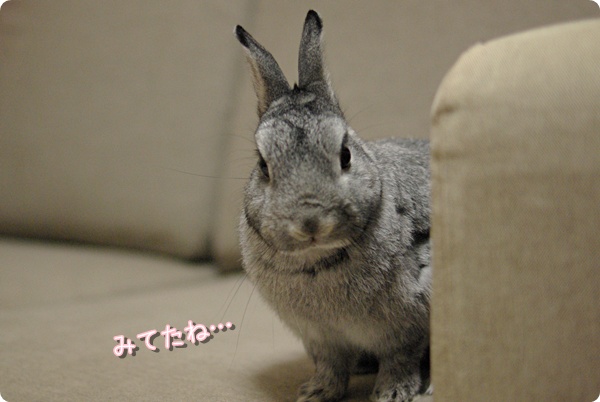 じろ〜り…