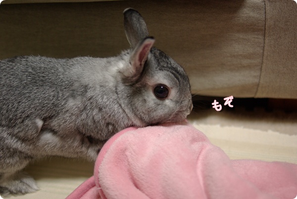 もちあげて