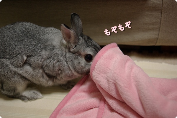 あなのなかを