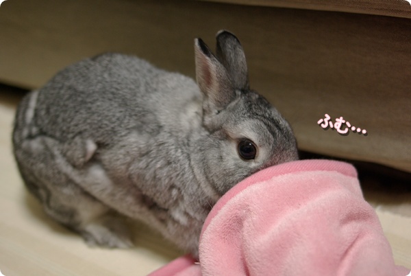 のぞいてみる