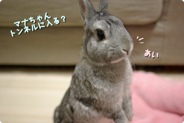 たんけん!?