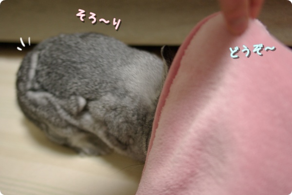 へっぴり
