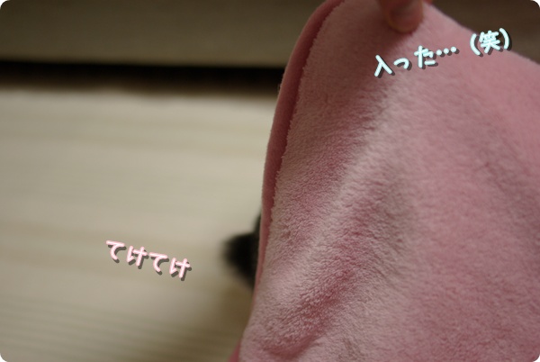 いざゆかん!