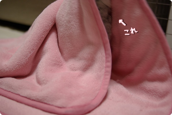 ぶっほ〜ん
