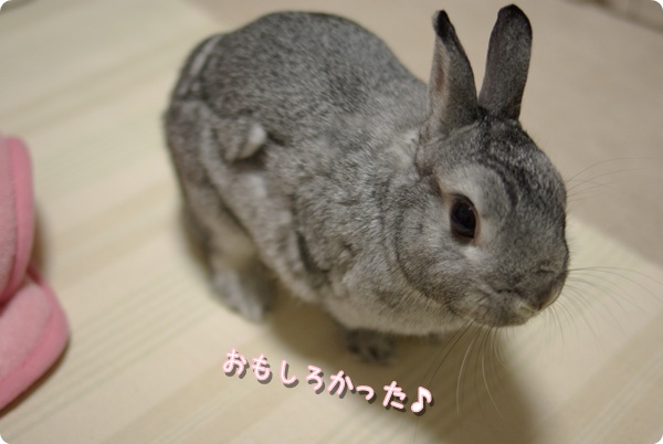 もういっかいね!