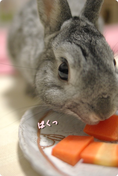 もいっこ