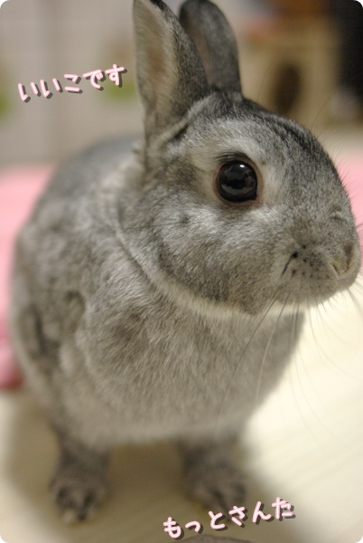 おしまい?