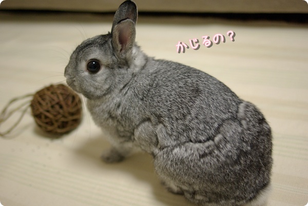どきどき