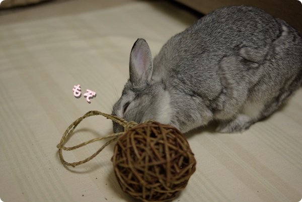 へっぴりごし